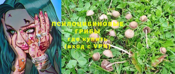 молекула духа Михайловск