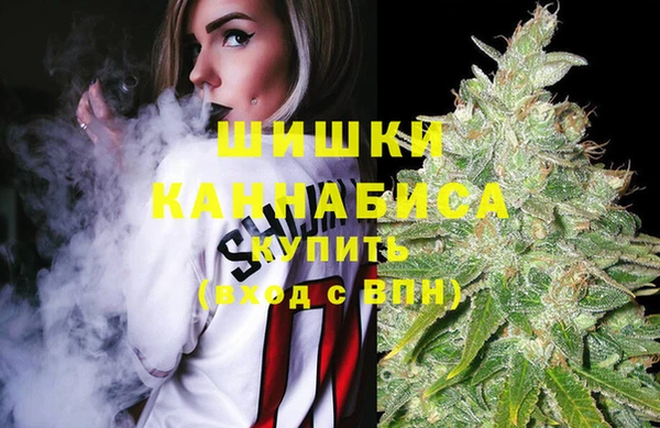 гашик Медвежьегорск