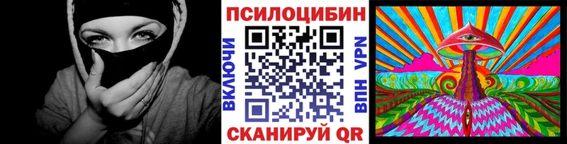 Галлюциногенные грибы Psilocybe  Купить где  Междуреченск 